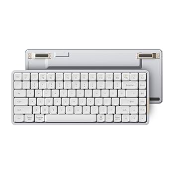 Lofree Flow用Phantomロープロファイルスイッチ 79ピース Amazon.co.jp: Lofree FLOW ロープロファイルメカニカル